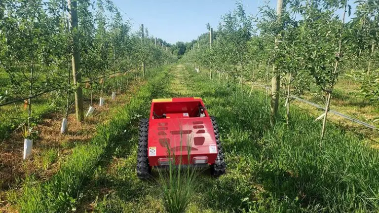 Orchard remote control lawn mower